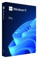Microsoft Windows Pro 11 64bit PL USB Flash Drive Box HAV-00209