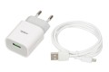 iBOX Ładowarka sieciowa C41W