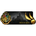 Kids Euroswan Mata podkładka pod myszkę 80x30cm Harry Potter